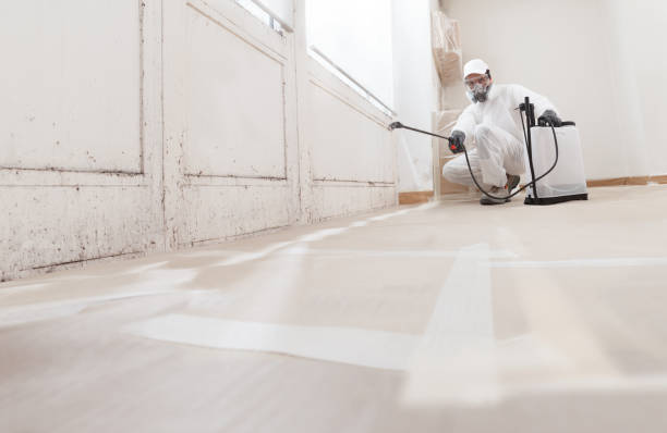24/7 Emergency Mold Remediation experts in Jobstown, NJ
