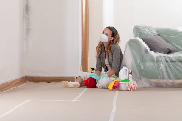 Reliable Mold Remediation contractor in Jobstown, NJ by 24 Hour Mold Removal